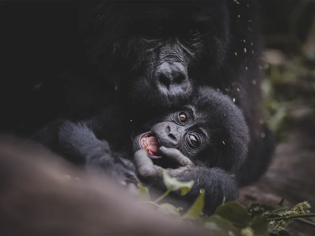 Destination Promotion